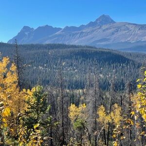 Meet your Posher, LW